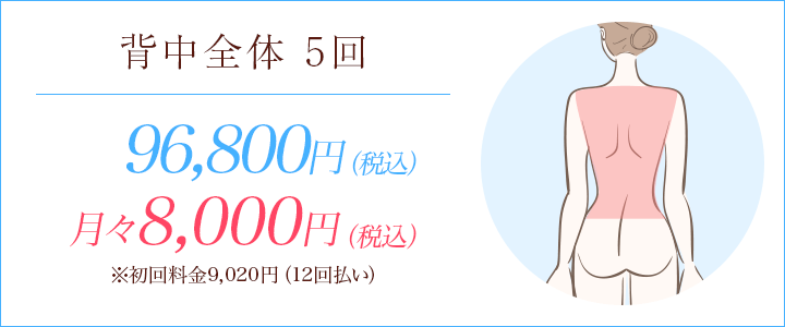 背中全体脱毛5回88,000円