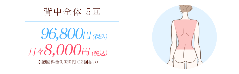 背中全体脱毛5回88,000円